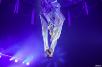 Шоу Гии Эрадзе «5 континентов» в Тульском цирке: феерия уже началась!, Фото: 61