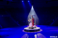 Шоу фонтанов «13 месяцев» в Тульском цирке – подарите себе и близким путевку в сказку!, Фото: 99