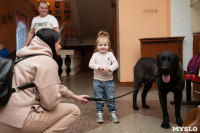 Выставка собак в Туле, Фото: 75