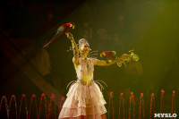 Шоу фонтанов «13 месяцев» в Тульском цирке – подарите себе и близким путевку в сказку!, Фото: 34