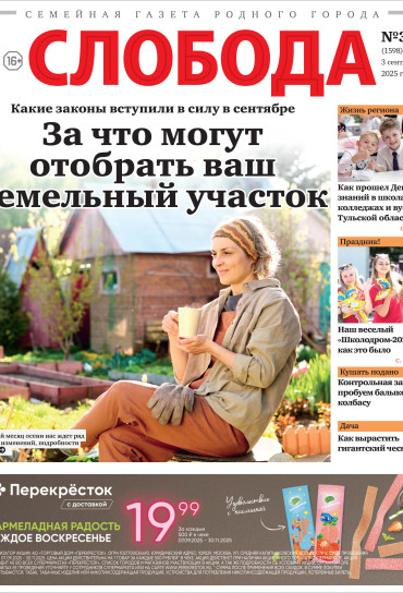 Слобода №36 (1598): За что могут отобрать ваш земельный участок